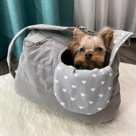 Bag for dog